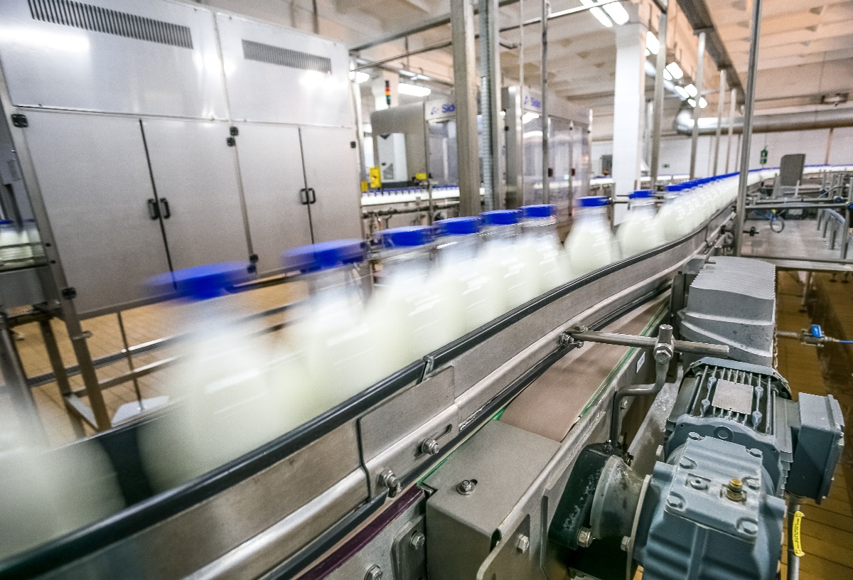 bottles of milk on a conveyor belt