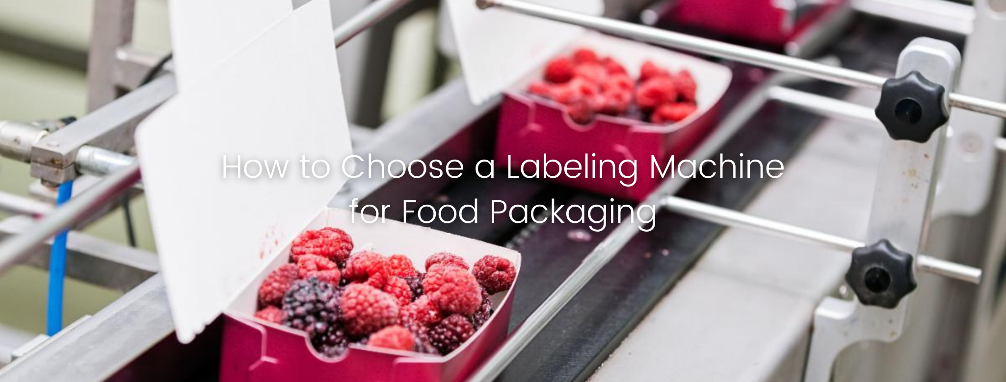 How to Choose a Labeling Machine for Food Packaging